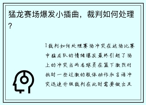 猛龙赛场爆发小插曲，裁判如何处理？